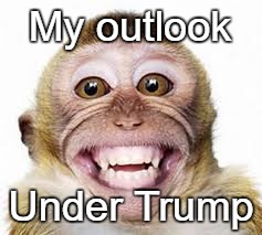 My outlook; Under Trump | image tagged in better | made w/ Imgflip meme maker