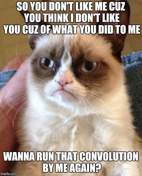 Grumpy Cat Meme | SO YOU DON'T LIKE ME CUZ YOU THINK I DON'T LIKE YOU CUZ OF WHAT YOU DID TO ME; WANNA RUN THAT CONVOLUTION BY ME AGAIN? | image tagged in memes,grumpy cat | made w/ Imgflip meme maker