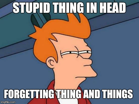 Futurama Fry Meme | STUPID THING IN HEAD; FORGETTING THING AND THINGS | image tagged in memes,futurama fry | made w/ Imgflip meme maker