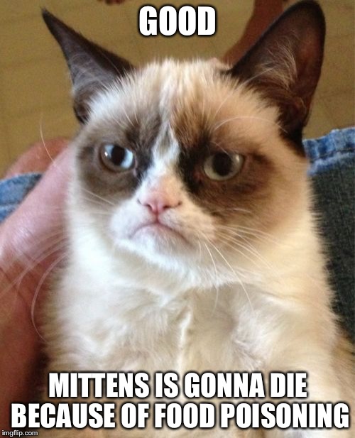 Grumpy Cat Meme | GOOD MITTENS IS GONNA DIE BECAUSE OF FOOD POISONING | image tagged in memes,grumpy cat | made w/ Imgflip meme maker