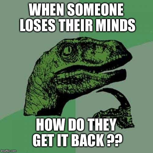 Not So Philosoraptor | WHEN SOMEONE LOSES THEIR MINDS; HOW DO THEY GET IT BACK ?? | image tagged in memes,philosoraptor | made w/ Imgflip meme maker