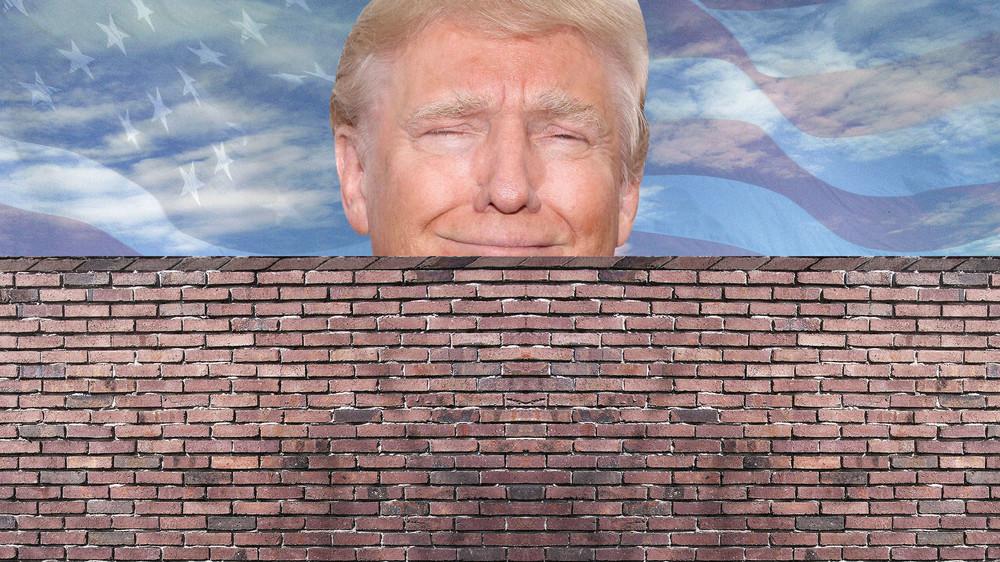 donald and the wall Blank Meme Template