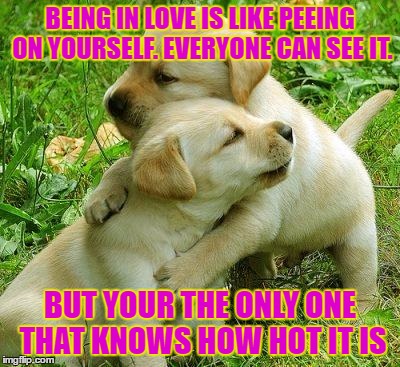Puppy I love bro |  BEING IN LOVE IS LIKE PEEING ON YOURSELF. EVERYONE CAN SEE IT. BUT YOUR THE ONLY ONE THAT KNOWS HOW HOT IT IS | image tagged in puppy i love bro | made w/ Imgflip meme maker