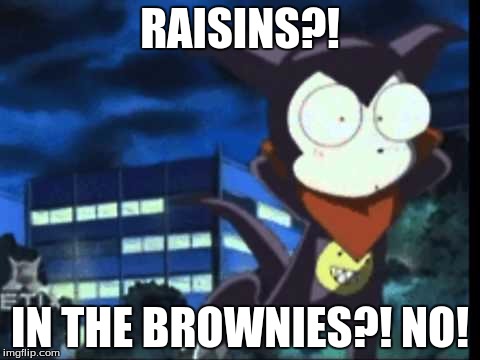 RAISINS?! IN THE BROWNIES?! NO! | made w/ Imgflip meme maker