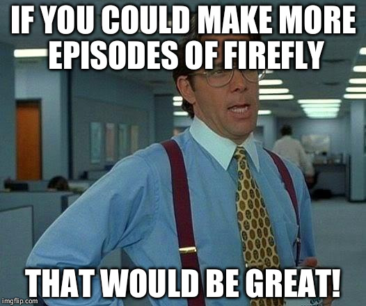 Why, oh why, oh why was this cancelled? | IF YOU COULD MAKE MORE EPISODES OF FIREFLY; THAT WOULD BE GREAT! | image tagged in memes,that would be great | made w/ Imgflip meme maker