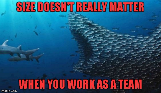 Doesn't matter if you're big or small...it's how you get the job done! | SIZE DOESN'T REALLY MATTER; WHEN YOU WORK AS A TEAM | image tagged in fish teamwork,memes,teamwork,funny,size doesn't matter,animals | made w/ Imgflip meme maker