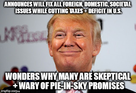 Donald trump approves | ANNOUNCES WILL FIX ALL FOREIGN, DOMESTIC, SOCIETAL ISSUES WHILE CUTTING TAXES + DEFICIT IN U.S. WONDERS WHY MANY ARE SKEPTICAL + WARY OF PIE-IN-SKY PROMISES | image tagged in donald trump approves | made w/ Imgflip meme maker