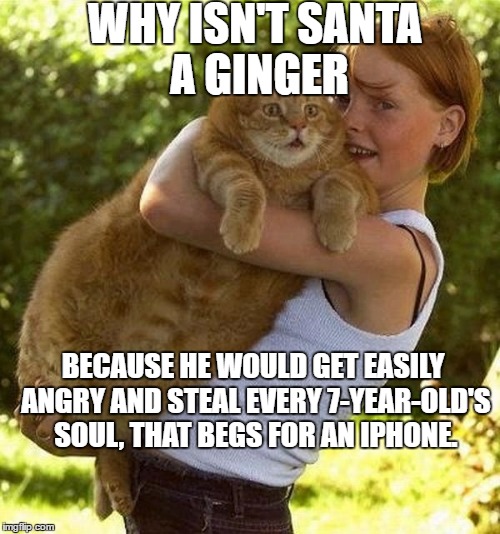 Ginger Claus | WHY ISN'T SANTA A GINGER; BECAUSE HE WOULD GET EASILY ANGRY AND STEAL EVERY 7-YEAR-OLD'S SOUL, THAT BEGS FOR AN IPHONE. | image tagged in ginger claus | made w/ Imgflip meme maker