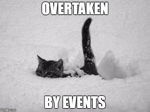Snow Cat | OVERTAKEN; BY EVENTS | image tagged in snow cat | made w/ Imgflip meme maker