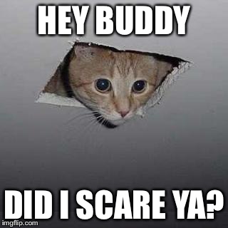 Ceiling Cat | HEY BUDDY; DID I SCARE YA? | image tagged in memes,ceiling cat | made w/ Imgflip meme maker