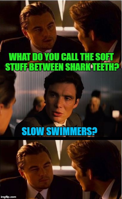 Inception | WHAT DO YOU CALL THE SOFT STUFF BETWEEN SHARK TEETH? SLOW SWIMMERS? | image tagged in memes,inception | made w/ Imgflip meme maker