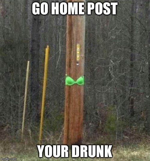 Post submition | GO HOME POST; YOUR DRUNK | image tagged in post submition | made w/ Imgflip meme maker