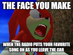 THE FACE YOU MAKE; WHEN THE RADIO PUTS YOUR FAVORITE SONG ON AS YOU LEAVE THE CAR | image tagged in knuckles the echidna,radio | made w/ Imgflip meme maker