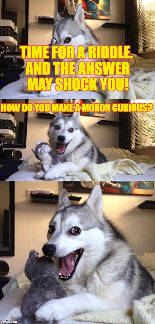 Bad Pun Dog Meme | TIME FOR A RIDDLE. AND THE ANSWER MAY SHOCK YOU! HOW DO YOU MAKE A MORON CURIOUS? | image tagged in memes,bad pun dog | made w/ Imgflip meme maker