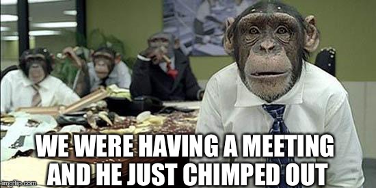 Office monkeys | WE WERE HAVING A MEETING AND HE JUST CHIMPED OUT | image tagged in office monkeys | made w/ Imgflip meme maker