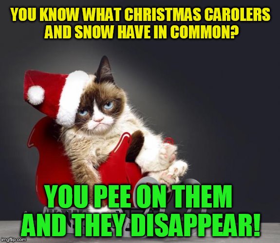 The 18 Christmas Memes Till Christmas Event  |  YOU KNOW WHAT CHRISTMAS CAROLERS AND SNOW HAVE IN COMMON? YOU PEE ON THEM AND THEY DISAPPEAR! | image tagged in grumpy cat christmas hd,christmas memes,carolers,jokes,grumpy cat,pee on the snow | made w/ Imgflip meme maker