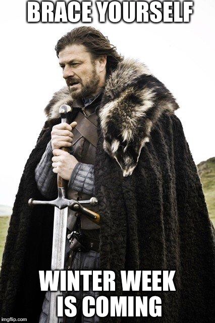 Brace Yourself | BRACE YOURSELF; WINTER WEEK IS COMING | image tagged in brace yourself | made w/ Imgflip meme maker