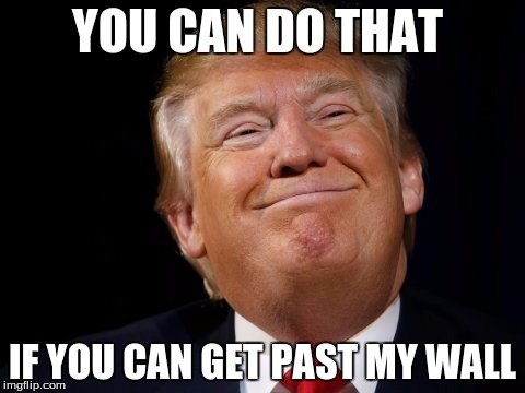 Smug Trump | YOU CAN DO THAT IF YOU CAN GET PAST MY WALL | image tagged in smug trump | made w/ Imgflip meme maker