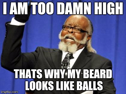 Too Damn High | I AM TOO DAMN HIGH; THATS WHY MY BEARD LOOKS LIKE BALLS | image tagged in memes,too damn high | made w/ Imgflip meme maker