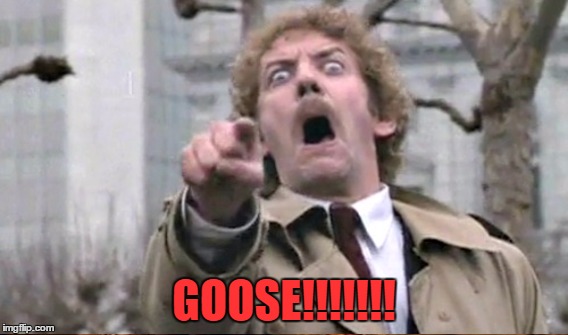 GOOSE!!!!!!! | made w/ Imgflip meme maker