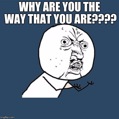 Y U No | WHY ARE YOU THE WAY THAT YOU ARE???? | image tagged in memes,y u no | made w/ Imgflip meme maker