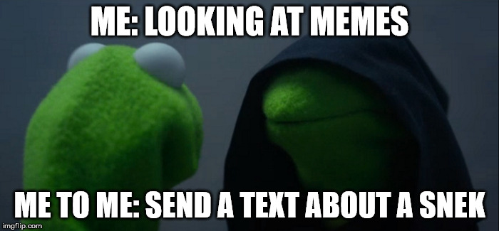 Evil Kermit Meme | ME: LOOKING AT MEMES; ME TO ME: SEND A TEXT ABOUT A SNEK | image tagged in evil kermit | made w/ Imgflip meme maker