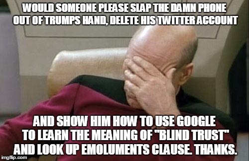 Captain Picard Facepalm Meme | WOULD SOMEONE PLEASE SLAP THE DAMN PHONE OUT OF TRUMPS HAND, DELETE HIS TWITTER ACCOUNT; AND SHOW HIM HOW TO USE GOOGLE TO LEARN THE MEANING OF "BLIND TRUST" AND LOOK UP EMOLUMENTS CLAUSE. THANKS. | image tagged in memes,captain picard facepalm | made w/ Imgflip meme maker