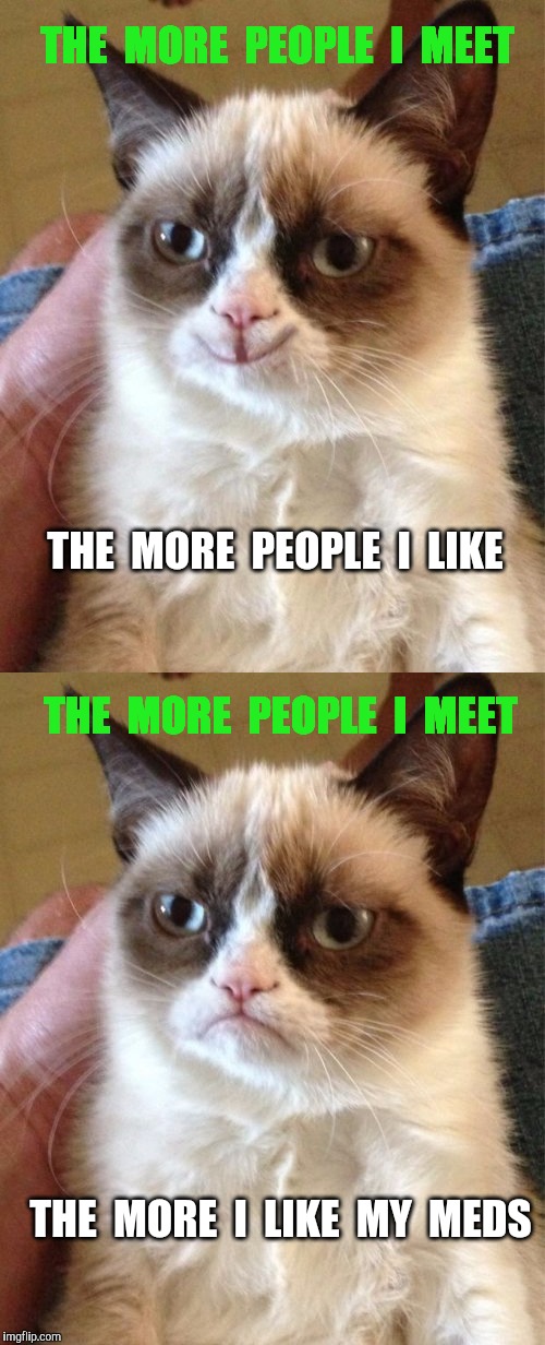 Bi-Polar  Cat | THE  MORE  PEOPLE  I  MEET; THE  MORE  PEOPLE  I  LIKE; THE  MORE  PEOPLE  I  MEET; THE  MORE  I  LIKE  MY  MEDS | image tagged in grumpy cat,people,meds | made w/ Imgflip meme maker