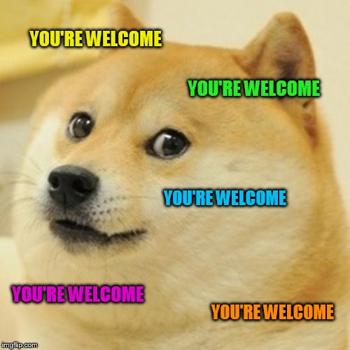 Doge Meme | YOU'RE WELCOME YOU'RE WELCOME YOU'RE WELCOME YOU'RE WELCOME YOU'RE WELCOME | image tagged in memes,doge | made w/ Imgflip meme maker
