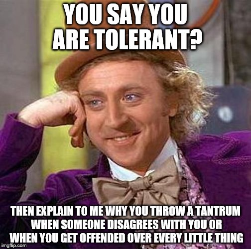 Creepy Condescending Wonka Meme | YOU SAY YOU ARE TOLERANT? THEN EXPLAIN TO ME WHY YOU THROW A TANTRUM WHEN SOMEONE DISAGREES WITH YOU OR WHEN YOU GET OFFENDED OVER EVERY LITTLE THING | image tagged in memes,creepy condescending wonka | made w/ Imgflip meme maker