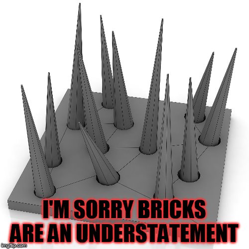 I'M SORRY BRICKS ARE AN UNDERSTATEMENT | made w/ Imgflip meme maker