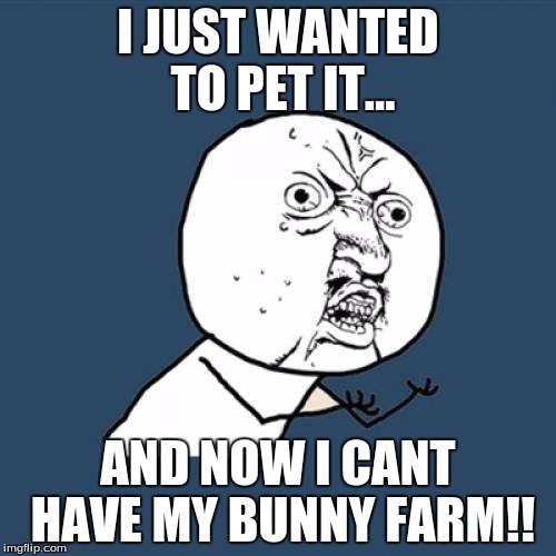 Y U No Meme | I JUST WANTED TO PET IT... AND NOW I CANT HAVE MY BUNNY FARM!! | image tagged in memes,y u no | made w/ Imgflip meme maker