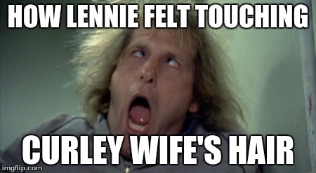 Scary Harry | HOW LENNIE FELT TOUCHING; CURLEY WIFE'S HAIR | image tagged in memes,scary harry | made w/ Imgflip meme maker