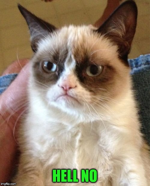 Grumpy Cat Meme | HELL NO | image tagged in memes,grumpy cat | made w/ Imgflip meme maker