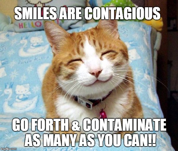 Cat Smile | SMILES ARE CONTAGIOUS; GO FORTH & CONTAMINATE AS MANY AS YOU CAN!! | image tagged in memes,cats | made w/ Imgflip meme maker