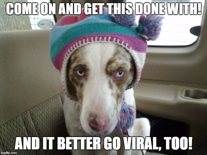 my dog named lexie | COME ON AND GET THIS DONE WITH! AND IT BETTER GO VIRAL, TOO! | image tagged in 10 guy | made w/ Imgflip meme maker