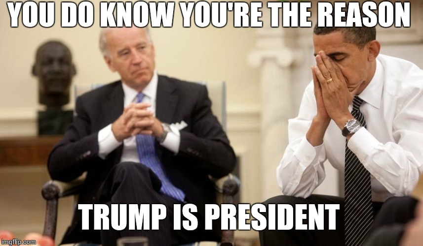 Biden Obama | YOU DO KNOW YOU'RE THE REASON; TRUMP IS PRESIDENT | image tagged in biden obama | made w/ Imgflip meme maker