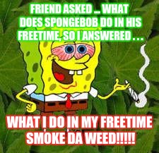 Weed | FRIEND ASKED ... WHAT DOES SPONGEBOB DO IN HIS FREETIME, SO I ANSWERED . . . WHAT I DO IN MY FREETIME SMOKE DA WEED!!!!! | image tagged in weed | made w/ Imgflip meme maker