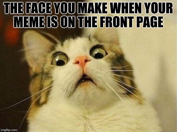 Scared Cat | THE FACE YOU MAKE WHEN YOUR MEME IS ON THE FRONT PAGE | image tagged in memes,scared cat | made w/ Imgflip meme maker