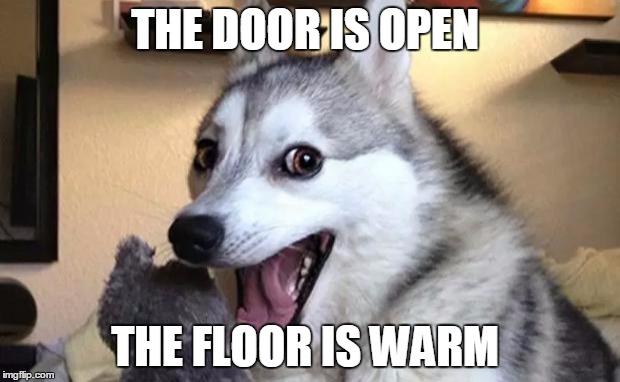 Pun dog - husky | THE DOOR IS OPEN; THE FLOOR IS WARM | image tagged in pun dog - husky | made w/ Imgflip meme maker