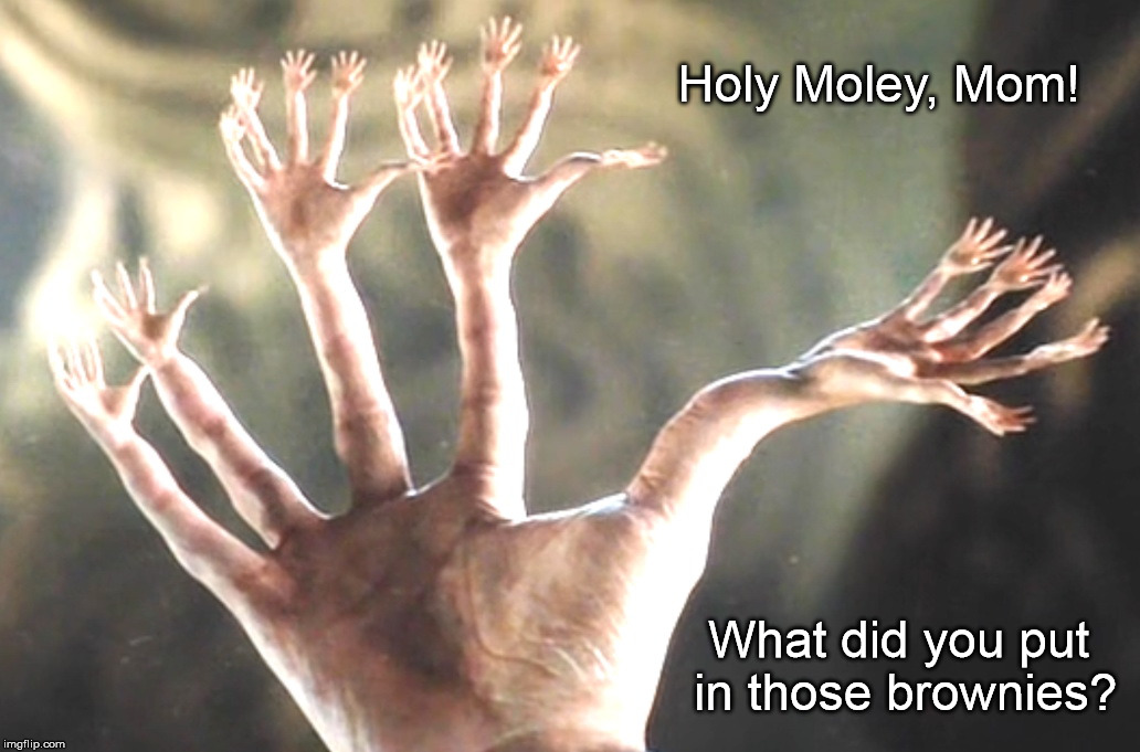 Holy Moley, Mom! | Holy Moley, Mom! What did you put in those brownies? | image tagged in hands,handy,hand | made w/ Imgflip meme maker