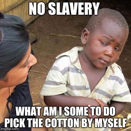 Third World Skeptical Kid Meme | NO SLAVERY; WHAT AM I SOME TO DO PICK THE COTTON BY MYSELF | image tagged in memes,third world skeptical kid | made w/ Imgflip meme maker
