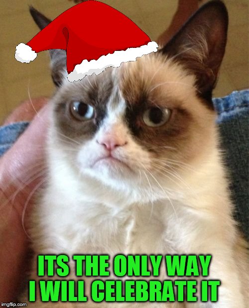 Grumpy Cat Meme | ITS THE ONLY WAY I WILL CELEBRATE IT | image tagged in memes,grumpy cat | made w/ Imgflip meme maker