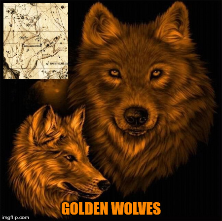 GOLDEN WOLVES | made w/ Imgflip meme maker