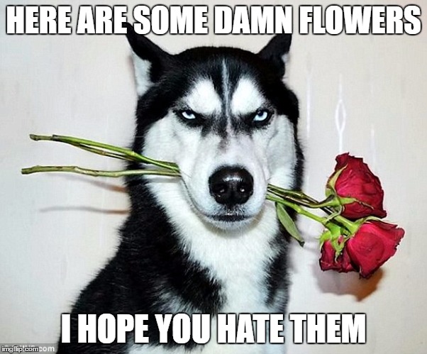 HERE ARE SOME DAMN FLOWERS I HOPE YOU HATE THEM | made w/ Imgflip meme maker