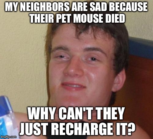 10 Guy | MY NEIGHBORS ARE SAD BECAUSE THEIR PET MOUSE DIED; WHY CAN'T THEY JUST RECHARGE IT? | image tagged in memes,10 guy | made w/ Imgflip meme maker