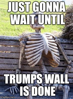 Waiting Skeleton | JUST GONNA WAIT UNTIL; TRUMPS WALL IS DONE | image tagged in memes,waiting skeleton | made w/ Imgflip meme maker