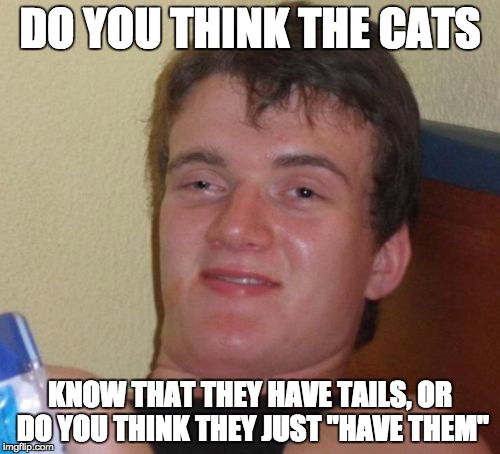 10 Guy Meme | DO YOU THINK THE CATS; KNOW THAT THEY HAVE TAILS, OR DO YOU THINK THEY JUST "HAVE THEM" | image tagged in memes,10 guy | made w/ Imgflip meme maker