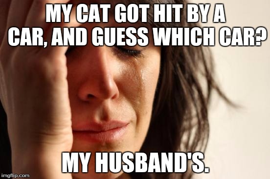 First World Problems | MY CAT GOT HIT BY A CAR, AND GUESS WHICH CAR? MY HUSBAND'S. | image tagged in memes,first world problems | made w/ Imgflip meme maker