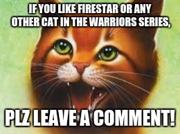 Warrior cats Firestar | IF YOU LIKE FIRESTAR OR ANY OTHER CAT IN THE WARRIORS SERIES, PLZ LEAVE A COMMENT! | image tagged in warrior cats firestar | made w/ Imgflip meme maker